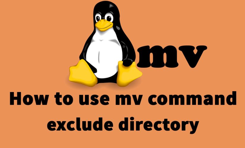 How To Use Mv Command Exclude Directory