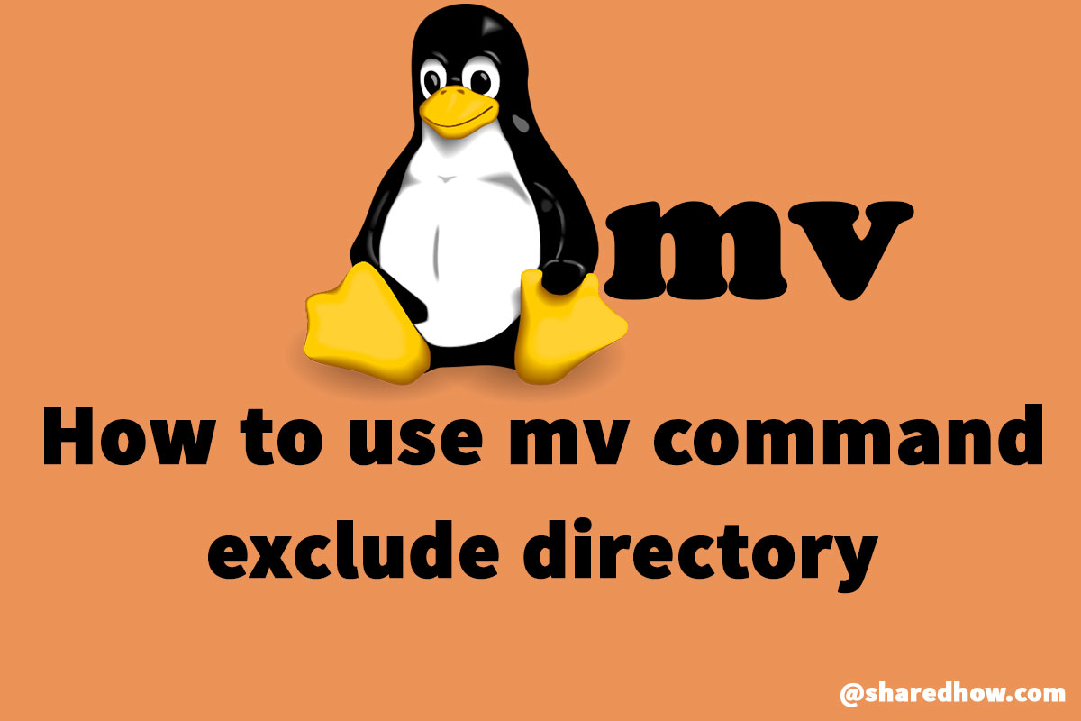 linux find file by name exclude directory